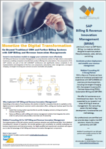 SAP Billing & Revenue Innovation Management (BRIM)
